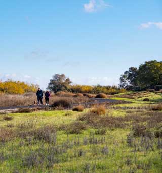 Nature Trail